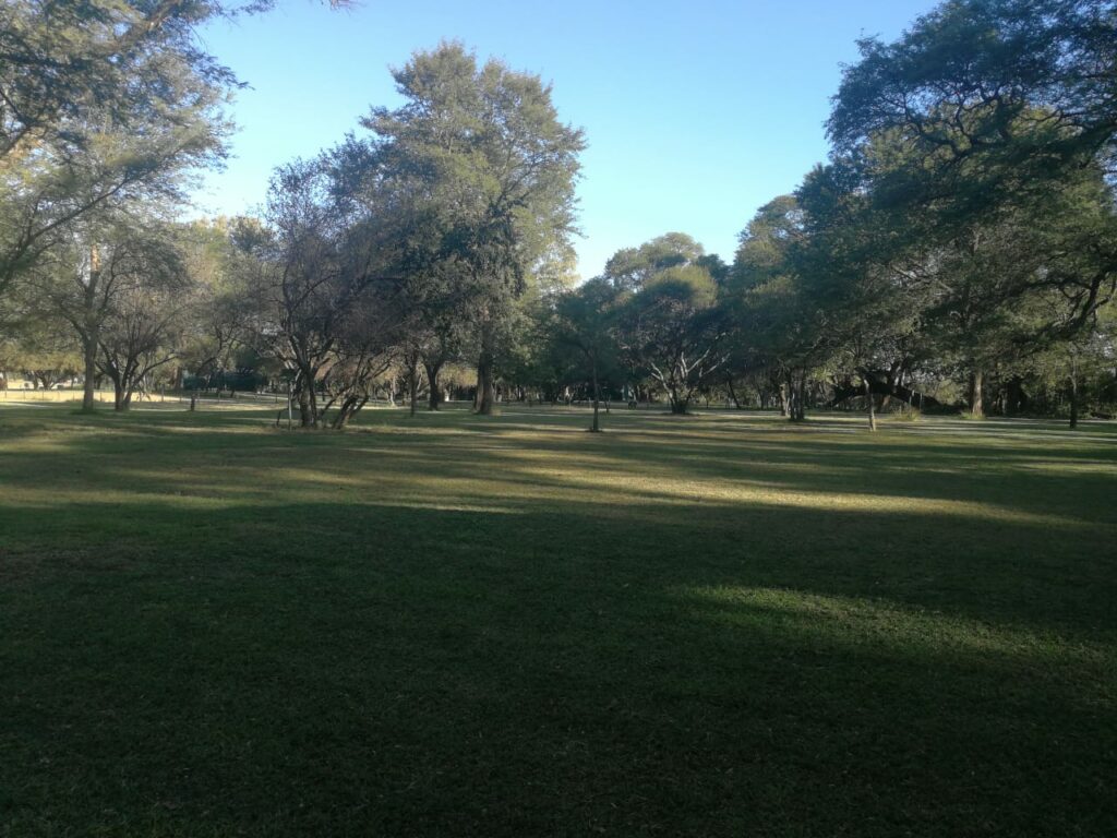 The Rust de Winter campsite beneath mature bushveld trees