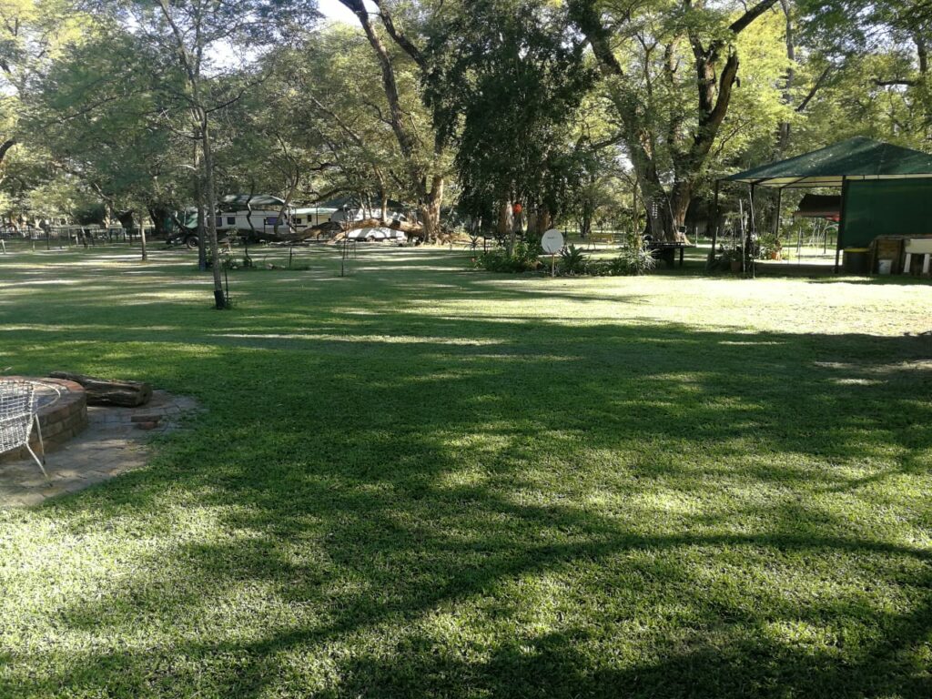 Open lawns and shade beneath the Apiesdoring trees
