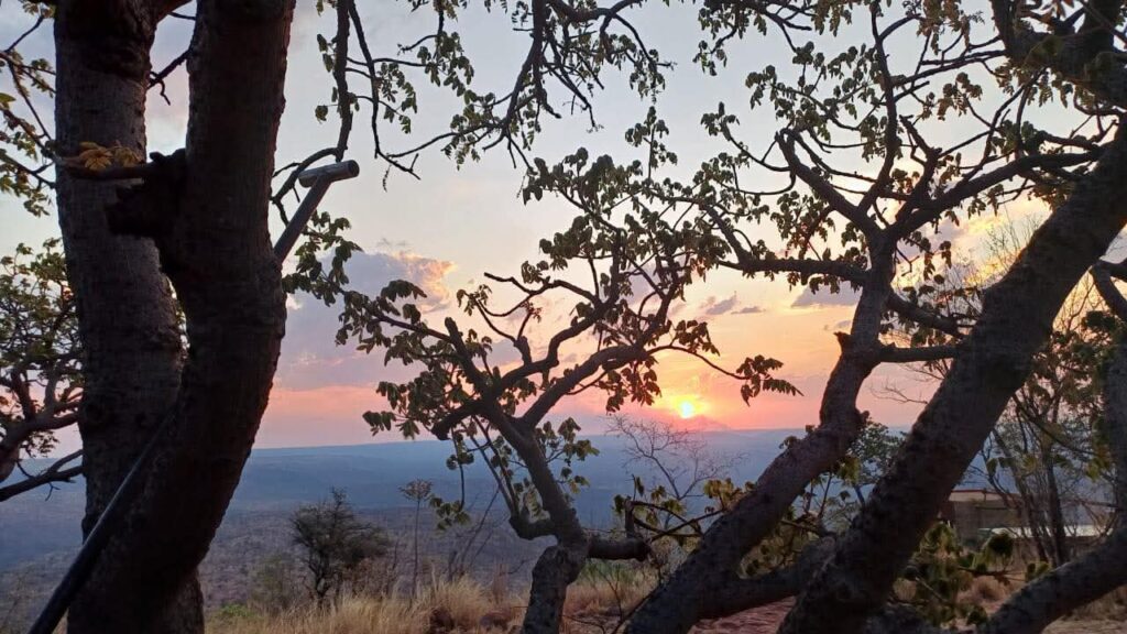 Sunset through the trees at the mountain camp
