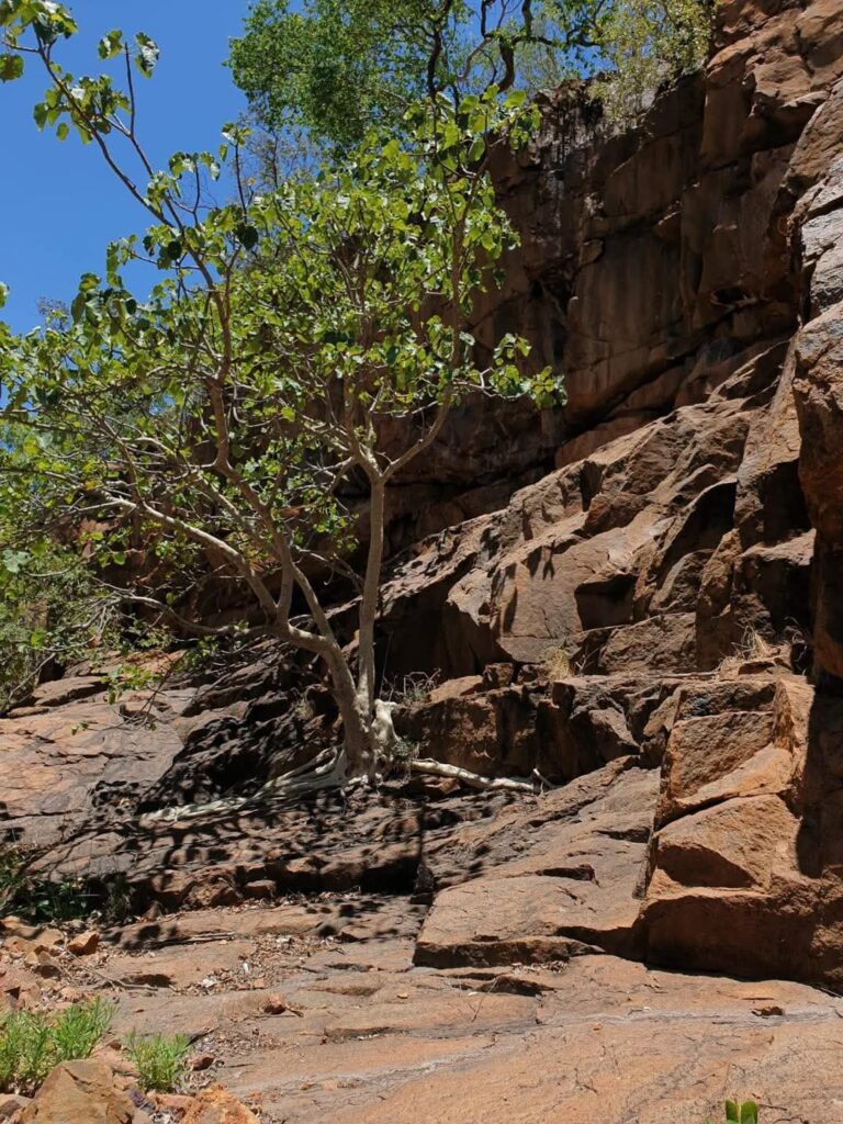 The natural rock walls of a narrow gorge